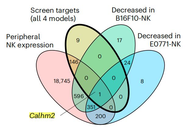 Nature子刊：陳斯迪葉露鵬團隊利用體內AAV-睡美人CRISPR篩選技術發(fā)現(xiàn)NK細胞癌癥免疫治療新靶點(圖3)