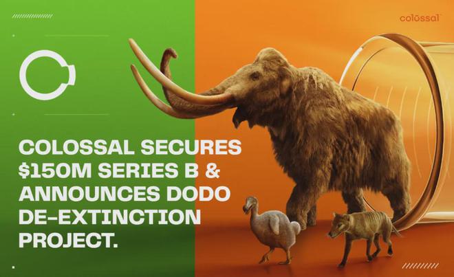 世界首次！喬治·丘奇團(tuán)隊(duì)“復(fù)活”已滅絕一萬(wàn)多年的“冰原狼”計(jì)劃2028年復(fù)活猛犸象(圖6)