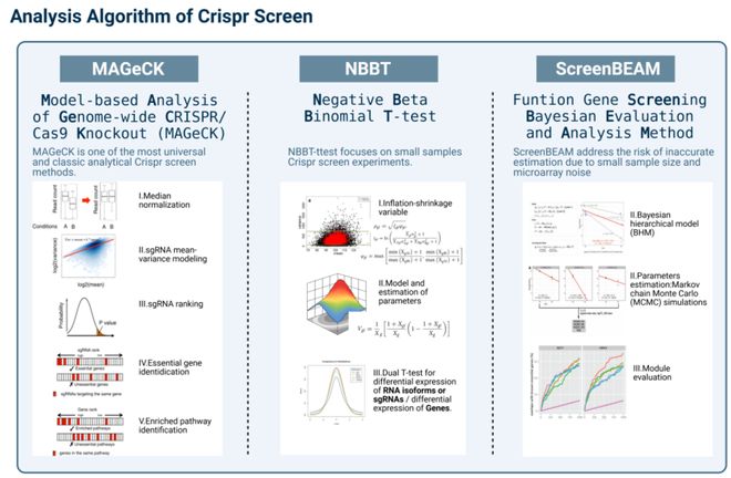 腫瘤CRISPRScreen在線平臺！重磅推薦！(圖5)