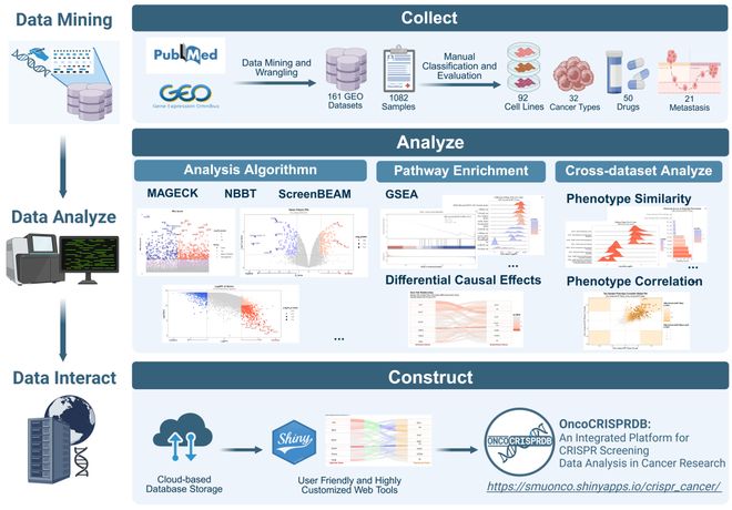 腫瘤CRISPRScreen在線平臺！重磅推薦！(圖3)